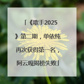 《歌手2025》第二期，单依纯再次获得第一名，阿云嘎揭榜失败