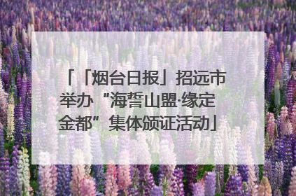 「烟台日报」招远市举办“海誓山盟·缘定金都”集体颁证活动