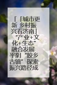 「城市更新 乡村振兴看济南」“产业+文化+生态”融合发展 平阴“胶乡古镇”探索振兴路径成效显著