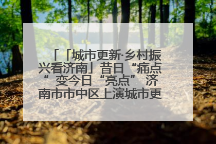 「城市更新·乡村振兴看济南」昔日“痛点”变今日“亮点” 济南市市中区上演城市更新“三部曲”
