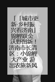 「城市更新·乡村振兴看济南」锦鲤跃金 沃野图新！济南市长清区：小锦鲤大产业 游出农旅新风景