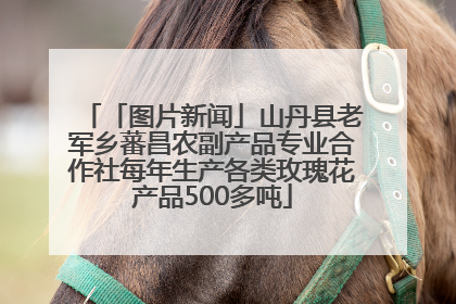 「图片新闻」山丹县老军乡蕃昌农副产品专业合作社每年生产各类玫瑰花产品500多吨