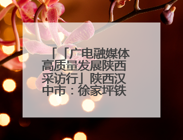 「广电融媒体高质量发展陕西采访行」陕西汉中市：徐家坪铁路风情小镇 出站就是景区