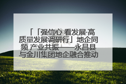 「强信心 看发展·高质量发展调研行」地企同频 产业共振——永昌县与金川集团地企融合推动重大项目建设