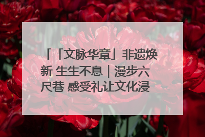「文脉华章」非遗焕新 生生不息｜漫步六尺巷 感受礼让文化浸润的“巷”往生活