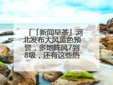 「新闻早茶」河北发布大风蓝色预警，多地阵风7到8级，还有这些热点……