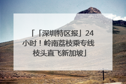 「深圳特区报」24小时！岭南荔枝乘专线 枝头直飞新加坡