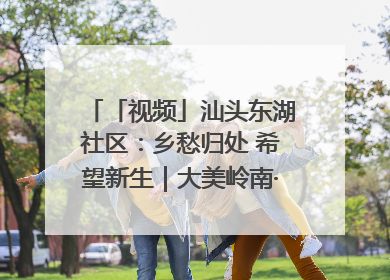 「视频」汕头东湖社区：乡愁归处 希望新生｜大美岭南·百村焕新记