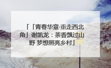 「青春华章·重走西北角」谢凯龙：茶香飘过山野 梦想照亮乡村