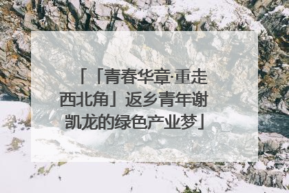 「青春华章·重走西北角」返乡青年谢凯龙的绿色产业梦