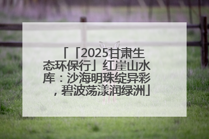 「2025甘肃生态环保行」红崖山水库：沙海明珠绽异彩，碧波荡漾润绿洲