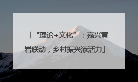 “理论+文化”：嘉兴黄岩联动，乡村振兴添活力