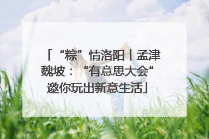 “粽”情洛阳丨孟津魏坡：“有意思大会”邀你玩出新意生活