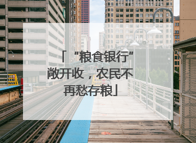 “粮食银行”敞开收，农民不再愁存粮