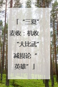 “三夏”麦收：机收“大比武” 减损论“英雄”