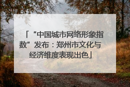 “中国城市网络形象指数”发布：郑州市文化与经济维度表现出色