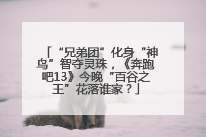“兄弟团”化身“神鸟”智夺灵珠，《奔跑吧13》今晚“百谷之王”花落谁家？