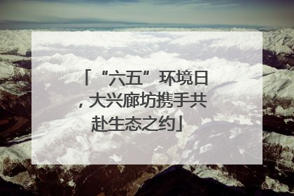 “六五”环境日，大兴廊坊携手共赴生态之约