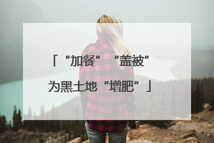 “加餐”“盖被” 为黑土地“增肥”