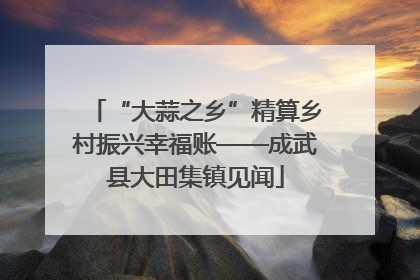 “大蒜之乡”精算乡村振兴幸福账——成武县大田集镇见闻