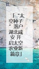 “太空种子”落户湖北咸安 开启太空农业新篇章