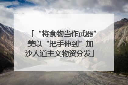 “将食物当作武器” 美以“把手伸到”加沙人道主义物资分发