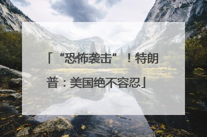 “恐怖袭击”！特朗普：美国绝不容忍