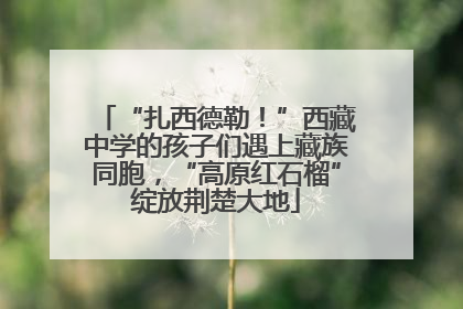 “扎西德勒！”西藏中学的孩子们遇上藏族同胞，“高原红石榴”绽放荆楚大地