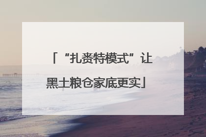 “扎赉特模式”让黑土粮仓家底更实
