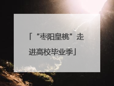 “枣阳皇桃”走进高校毕业季