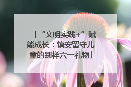 “文明实践+”赋能成长：镇安留守儿童的别样六一礼物