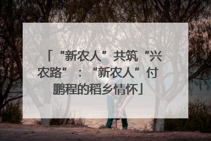 “新农人”共筑“兴农路”：“新农人”付鹏程的稻乡情怀