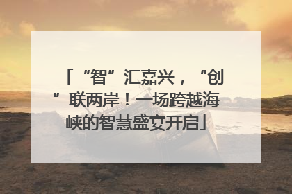 “智”汇嘉兴，“创”联两岸！一场跨越海峡的智慧盛宴开启