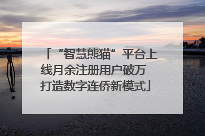“智慧熊猫”平台上线月余注册用户破万 打造数字连侨新模式