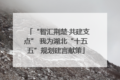 “智汇荆楚·共建支点” 我为湖北“十五五”规划建言献策