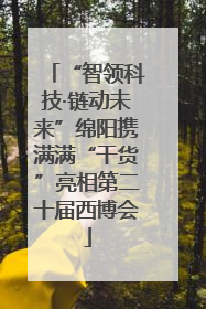 “智领科技·链动未来”绵阳携满满“干货”亮相第二十届西博会