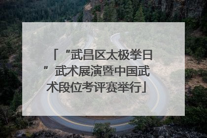 “武昌区太极拳日”武术展演暨中国武术段位考评赛举行