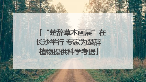 “楚辞草木画展”在长沙举行 专家为楚辞植物提供科学考据