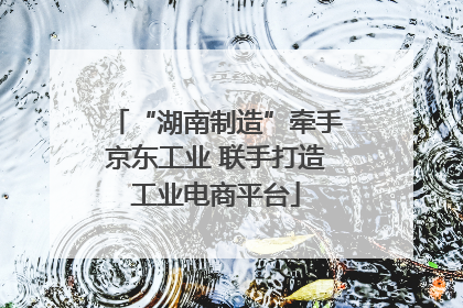 “湖南制造”牵手京东工业 联手打造工业电商平台