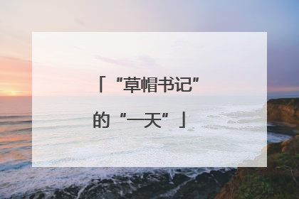 “草帽书记”的“一天”