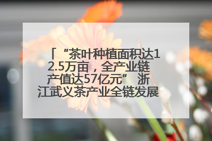 “茶叶种植面积达12.5万亩，全产业链产值达57亿元” 浙江武义茶产业全链发展“加速度”