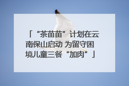 “茶苗苗”计划在云南保山启动 为留守困境儿童三餐“加肉”