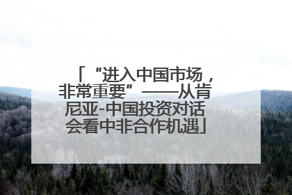 “进入中国市场，非常重要”——从肯尼亚-中国投资对话会看中非合作机遇