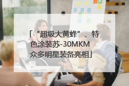 “超级大黄蜂”、特色涂装苏-30MKM 众多明星装备亮相