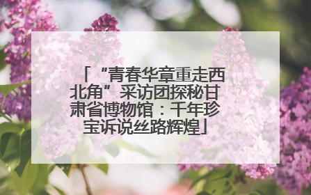 “青春华章重走西北角”采访团探秘甘肃省博物馆：千年珍宝诉说丝路辉煌