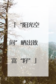 “阳光空间”晒出致富“籽”