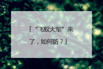“飞蚁大军”来了，如何防？