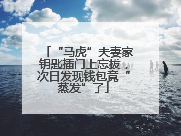 “马虎”夫妻家钥匙插门上忘拔，次日发现钱包竟“蒸发”了