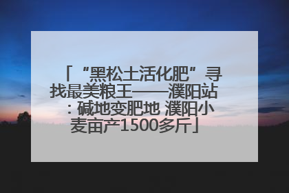 “黑松土活化肥”寻找最美粮王——濮阳站：碱地变肥地 濮阳小麦亩产1500多斤