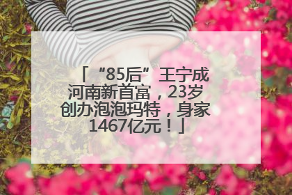 “85后”王宁成河南新首富，23岁创办泡泡玛特，身家1467亿元！